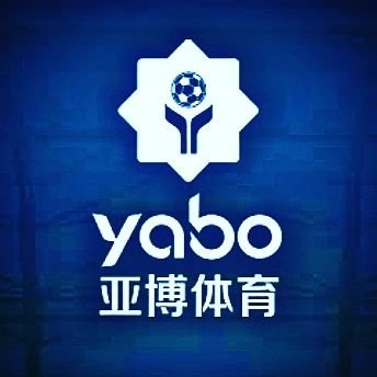 YB体育体育与阿根廷国家男子足球队携手达成合作